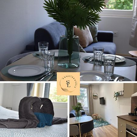 Apartmán Elegant T2 A Bron, Tramway A 2Min, Box Parking, 4Personnes Exteriér fotografie